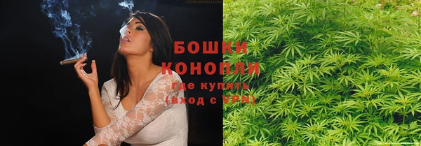 Альфа ПВП Сосновоборск