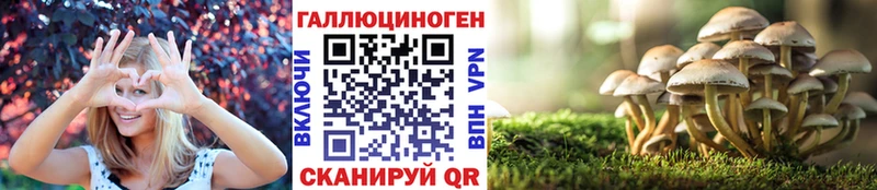 купить наркотик  Алдан  Псилоцибиновые грибы Psilocybine cubensis 
